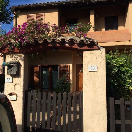 Apartmán Antonio Rose Garden Olbia Exteriér fotografie